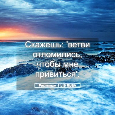 Picture 05 - Римлянам 11:19 RUSV - Скажешь: 'ветви отломились, - Bible Verse Picture