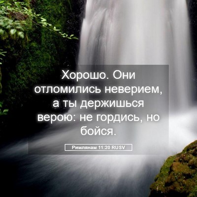 Picture 05 - Римлянам 11:20 RUSV - Хорошо. Они отломились - Bible Verse Picture