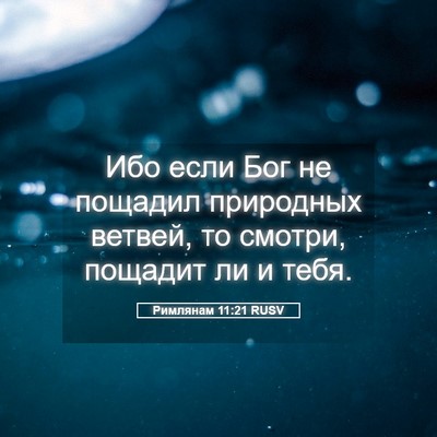 Picture 05 - Римлянам 11:21 RUSV - Ибо если Бог не пощадил - Bible Verse Picture