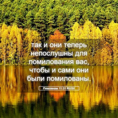 Picture 05 - Римлянам 11:31 RUSV - так и они теперь - Bible Verse Picture
