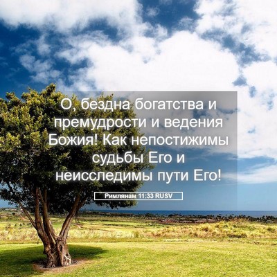 Picture 05 - Римлянам 11:33 RUSV - О, бездна богатства и - Bible Verse Picture