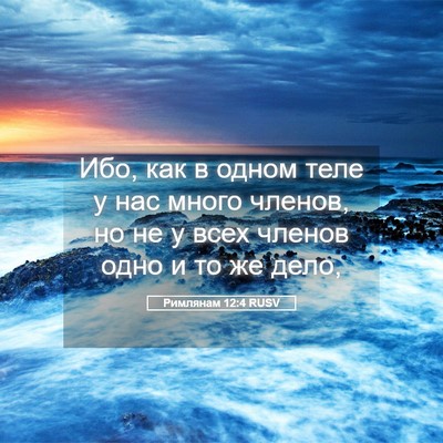 Picture 05 - Римлянам 12:4 RUSV - Ибо, как в одном теле у нас - Bible Verse Picture
