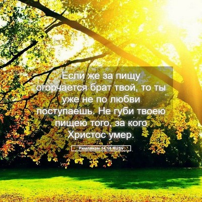 Picture 05 - Римлянам 14:15 RUSV - Если же за пищу огорчается - Bible Verse Picture