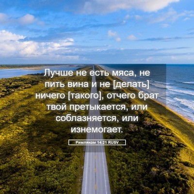 Picture 05 - Римлянам 14:21 RUSV - Лучше не есть мяса, не пить - Bible Verse Picture