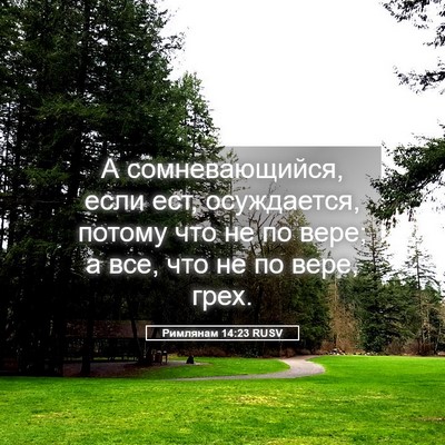 Picture 05 - Римлянам 14:23 RUSV - А сомневающийся, если ест, - Bible Verse Picture