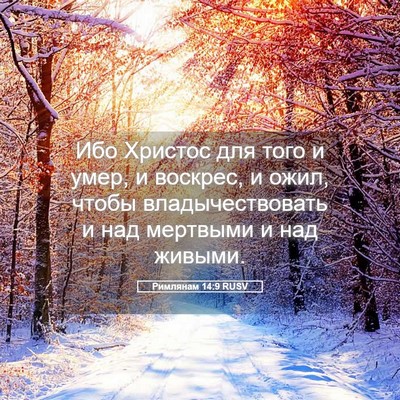 Picture 05 - Римлянам 14:9 RUSV - Ибо Христос для того и - Bible Verse Picture