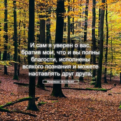 Picture 05 - Римлянам 15:14 RUSV - И сам я уверен о вас, братия - Bible Verse Picture