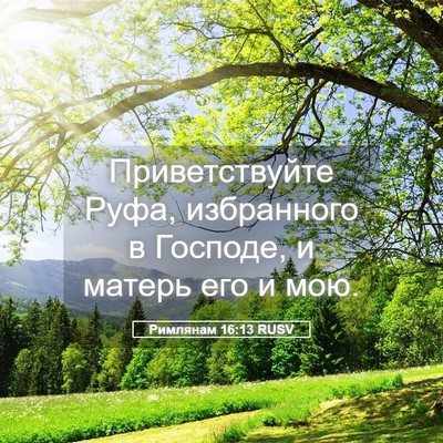 Picture 05 - Римлянам 16:13 RUSV - Приветствуйте Руфа, - Bible Verse Picture