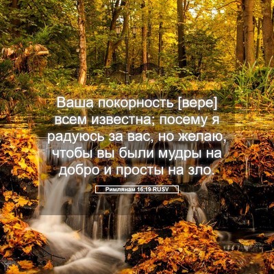 Picture 05 - Римлянам 16:19 RUSV - Ваша покорность [вере] всем - Bible Verse Picture