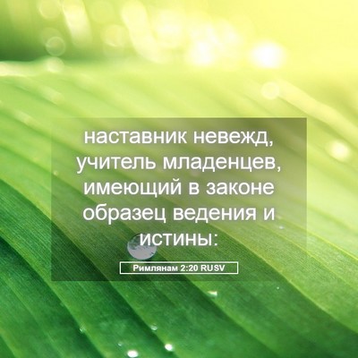 Picture 05 - Римлянам 2:20 RUSV - наставник невежд, учитель - Bible Verse Picture