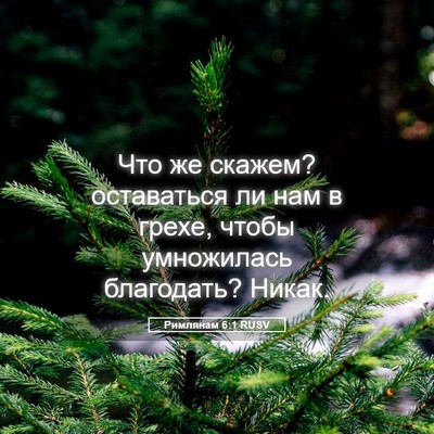 Picture 05 - Римлянам 6:1 RUSV - Что же скажем? оставаться - Bible Verse Picture