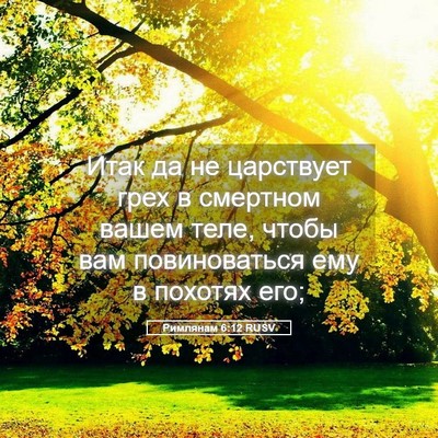 Picture 05 - Римлянам 6:12 RUSV - Итак да не царствует грех в - Bible Verse Picture