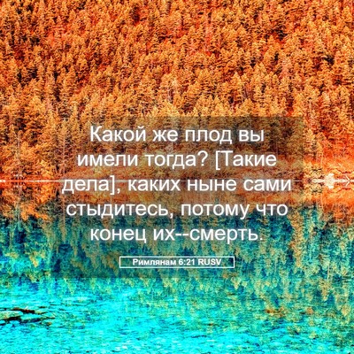 Picture 05 - Римлянам 6:21 RUSV - Какой же плод вы имели - Bible Verse Picture