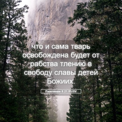 Picture 05 - Римлянам 8:21 RUSV - что и сама тварь - Bible Verse Picture