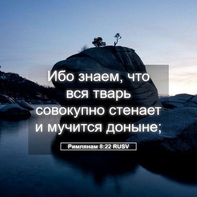 Picture 05 - Римлянам 8:22 RUSV - Ибо знаем, что вся тварь - Bible Verse Picture
