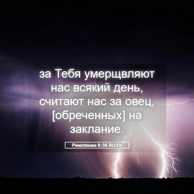 Picture 05 - Римлянам 8:36 RUSV - за Тебя умерщвляют нас - Bible Verse Picture
