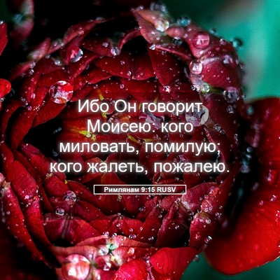 Picture 05 - Римлянам 9:15 RUSV - Ибо Он говорит Моисею: кого - Bible Verse Picture