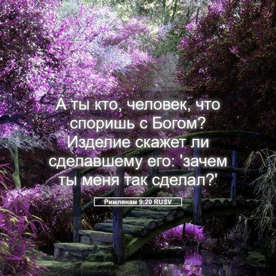 Picture 05 - Римлянам 9:20 RUSV - А ты кто, человек, что - Bible Verse Picture