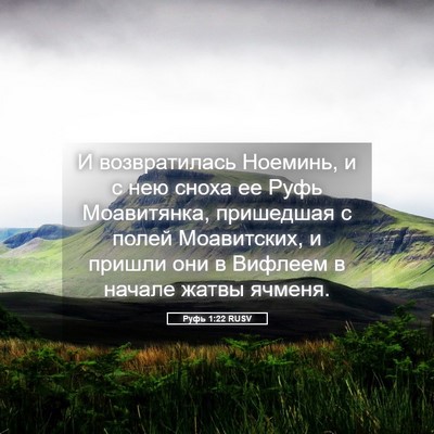 Picture 05 - Руфь 1:22 RUSV - И возвратилась Ноеминь, и с - Bible Verse Picture
