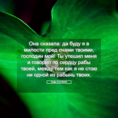 Picture 05 - Руфь 2:13 RUSV - Она сказала: да буду я в - Bible Verse Picture