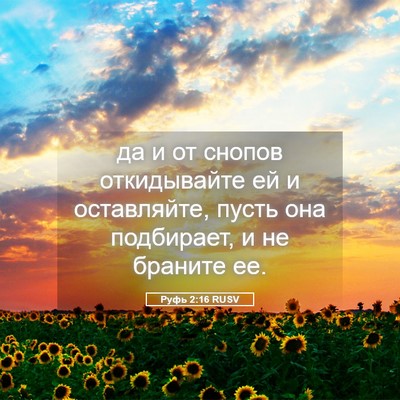 Picture 05 - Руфь 2:16 RUSV - да и от снопов откидывайте - Bible Verse Picture