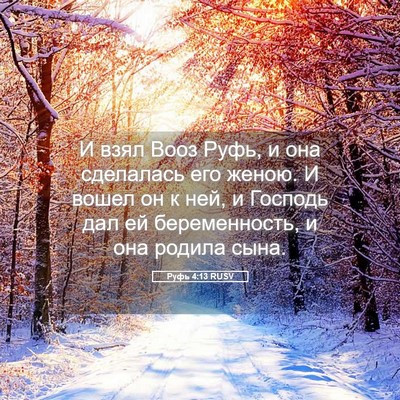 Picture 05 - Руфь 4:13 RUSV - И взял Вооз Руфь, и она - Bible Verse Picture