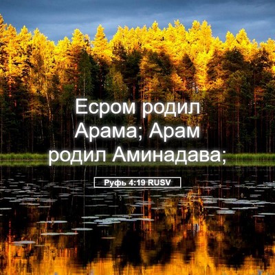 Picture 05 - Руфь 4:19 RUSV - Есром родил Арама; Арам - Bible Verse Picture