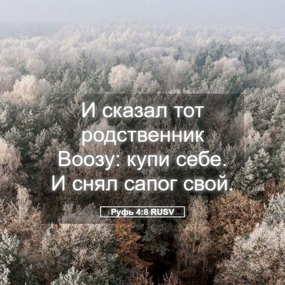 Picture 05 - Руфь 4:8 RUSV - И сказал тот родственник - Bible Verse Picture
