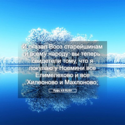 Picture 05 - Руфь 4:9 RUSV - И сказал Вооз старейшинам - Bible Verse Picture