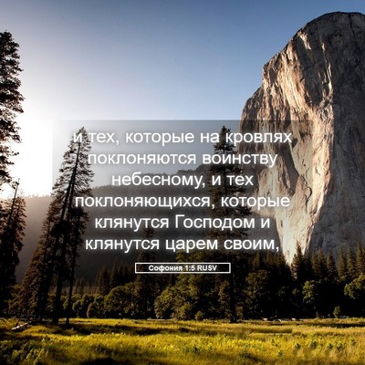 Picture 05 - Софония 1:5 RUSV - и тех, которые на кровлях - Bible Verse Picture