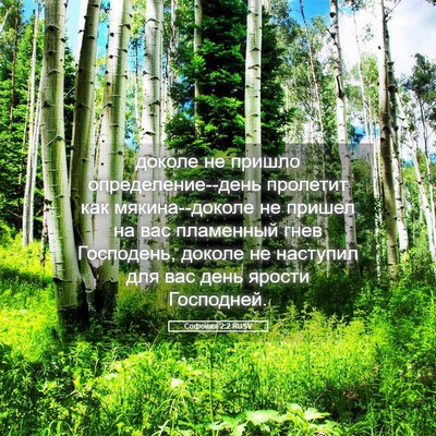 Picture 05 - Софония 2:2 RUSV - доколе не пришло - Bible Verse Picture