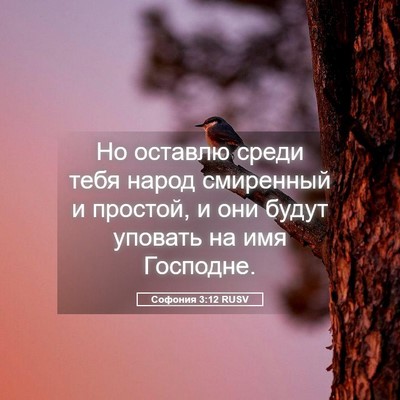 Picture 05 - Софония 3:12 RUSV - Но оставлю среди тебя - Bible Verse Picture