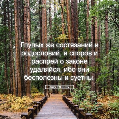 Picture 05 - Титу 3:9 RUSV - Глупых же состязаний и - Bible Verse Picture