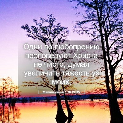 Picture 05 - Филиппийцам 1:16 RUSV - Одни по любопрению - Bible Verse Picture