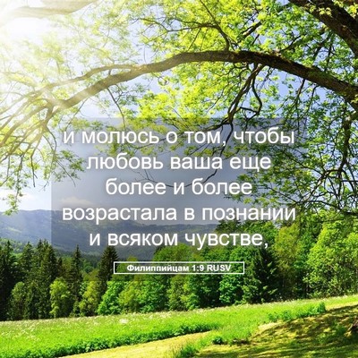 Picture 05 - Филиппийцам 1:9 RUSV - и молюсь о том, чтобы - Bible Verse Picture