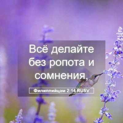 Picture 05 - Филиппийцам 2:14 RUSV - Всё делайте без ропота и - Bible Verse Picture