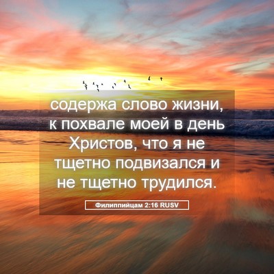 Picture 05 - Филиппийцам 2:16 RUSV - содержа слово жизни, к - Bible Verse Picture