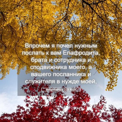 Picture 05 - Филиппийцам 2:25 RUSV - Впрочем я почел нужным - Bible Verse Picture