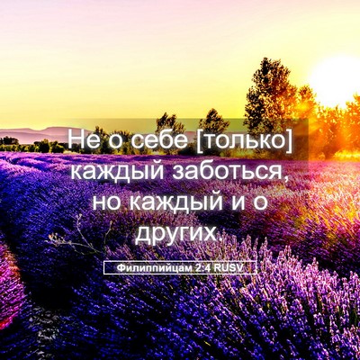 Picture 05 - Филиппийцам 2:4 RUSV - Не о себе [только] каждый - Bible Verse Picture