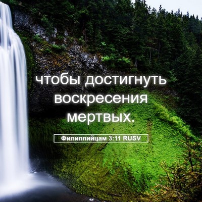 Picture 05 - Филиппийцам 3:11 RUSV - чтобы достигнуть - Bible Verse Picture