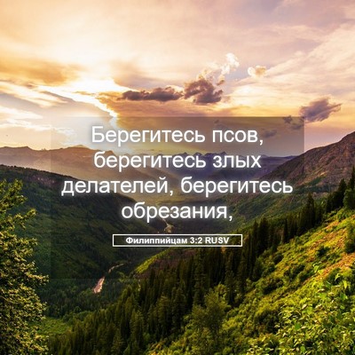 Picture 05 - Филиппийцам 3:2 RUSV - Берегитесь псов, - Bible Verse Picture
