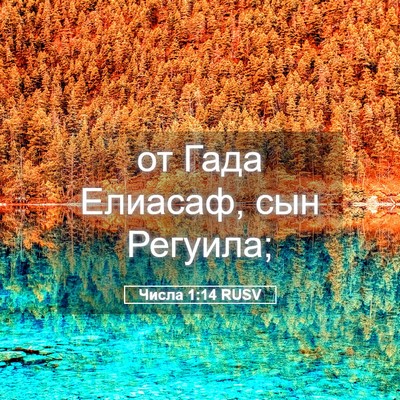 Picture 05 - Числа 1:14 RUSV - от Гада Елиасаф, сын - Bible Verse Picture