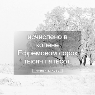 Picture 05 - Числа 1:33 RUSV - исчислено в колене - Bible Verse Picture