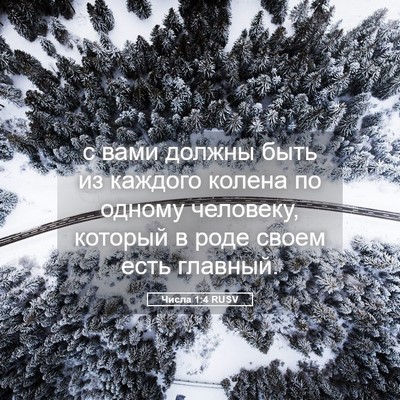 Picture 05 - Числа 1:4 RUSV - с вами должны быть из - Bible Verse Picture