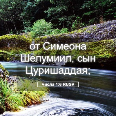 Picture 05 - Числа 1:6 RUSV - от Симеона Шелумиил, сын - Bible Verse Picture