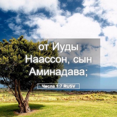 Picture 05 - Числа 1:7 RUSV - от Иуды Наассон, сын - Bible Verse Picture