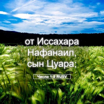 Picture 05 - Числа 1:8 RUSV - от Иссахара Нафанаил, сын - Bible Verse Picture