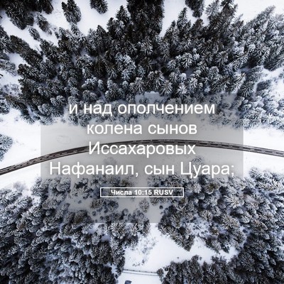 Picture 05 - Числа 10:15 RUSV - и над ополчением колена - Bible Verse Picture