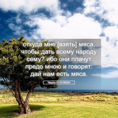 Picture 05 - Числа 11:13 RUSV - откуда мне [взять] мяса, - Bible Verse Picture