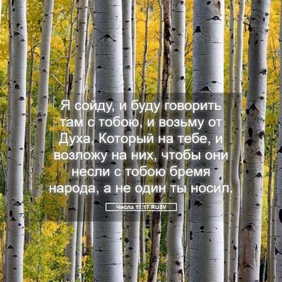 Picture 05 - Числа 11:17 RUSV - Я сойду, и буду говорить - Bible Verse Picture
